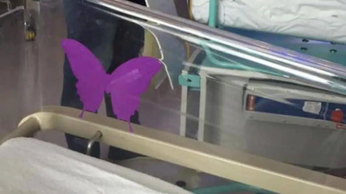 Maternité : cette sombre signification du papillon violet sur les berceaux des bébés