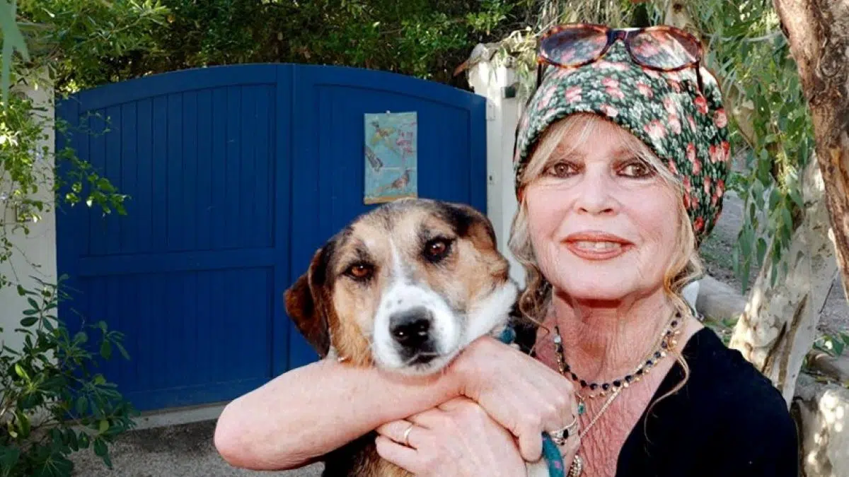 Brigitte Bardot : les photos de sa sublime villa ‘La Madrague’ à Saint-Tropez dévoilées
