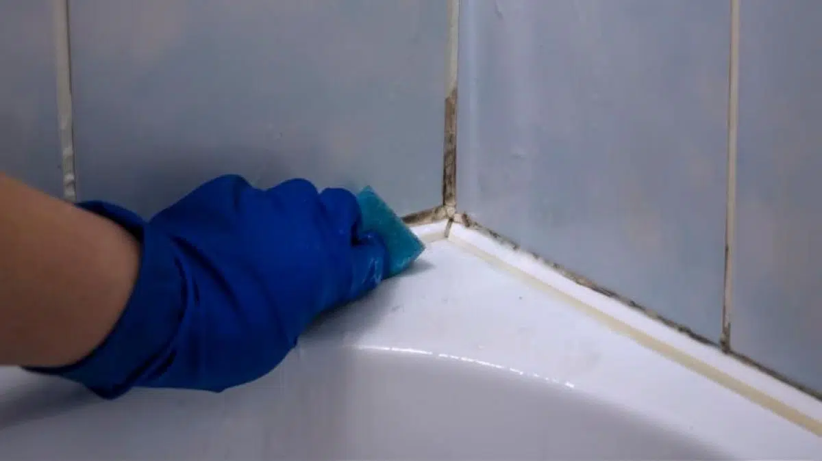 Voici comment éliminer efficacement la moisissure des joints de douche sans Javel
