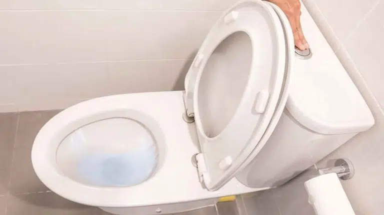 Toilettes : voici pourquoi il ne faut jamais tirer la chasse d’eau avec le couvercle ouvert