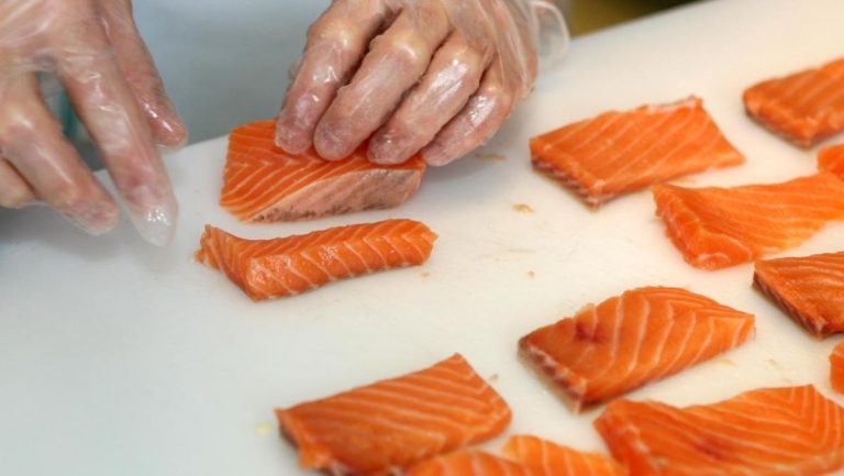 Rappel produit : ces pavés de saumon contaminés ne doivent pas être consommés, attention !
