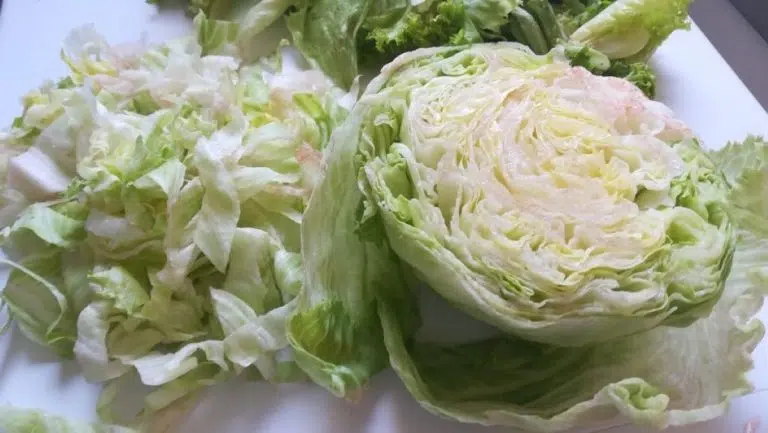 Découvrez pourquoi vous ne devriez pas consommer de la salade iceberg ou sucrine