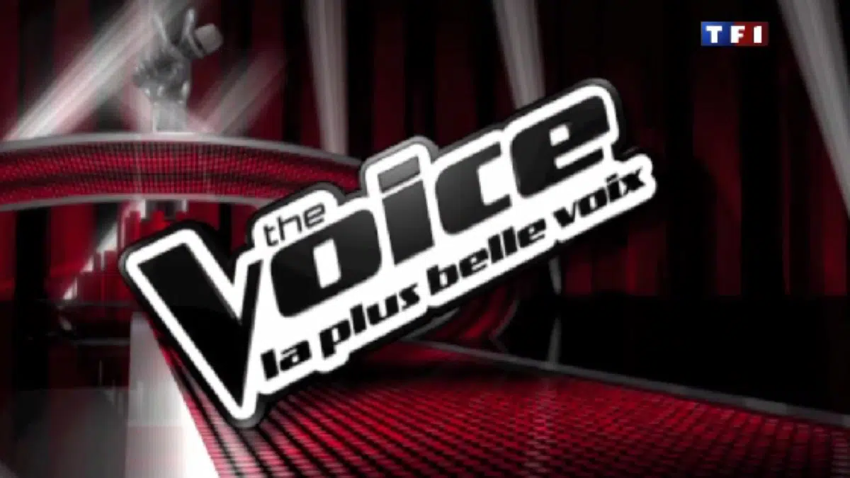 The Voice : cette chanteuse star recalée au casting de cette saison, révélations inédites