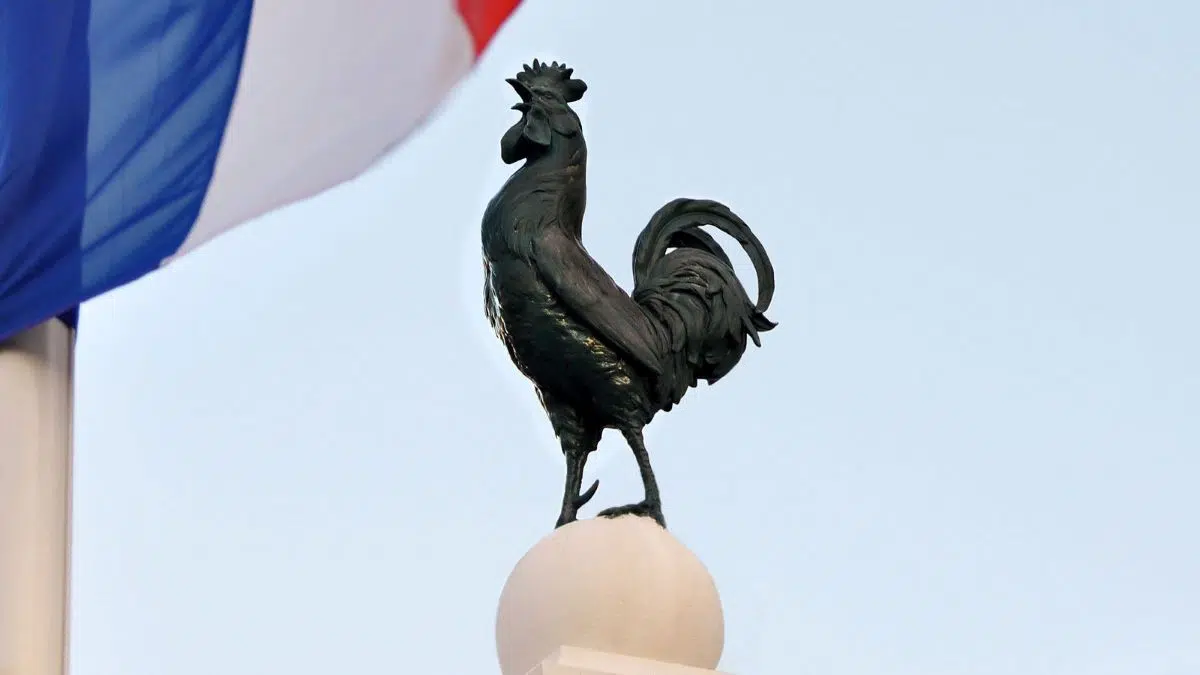 Voici pourquoi le coq gaulois symbolise la France depuis des siècles